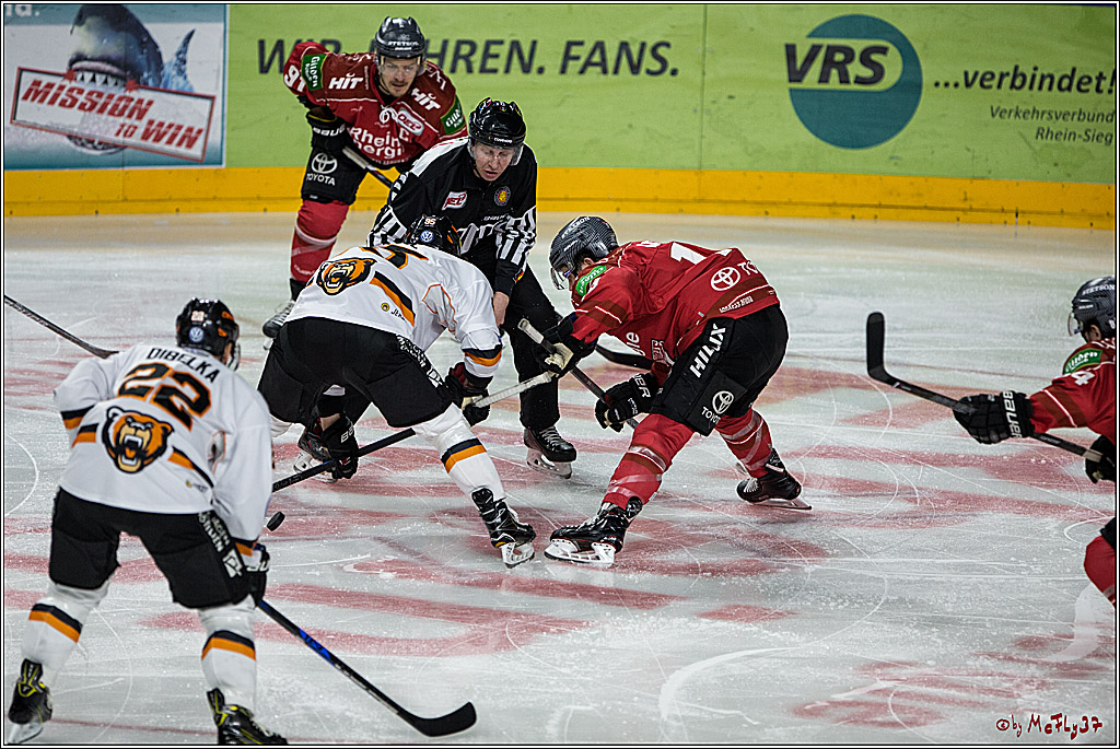 DEL, Koelner Haie - Grizzlys Wolfsburg, 17.03.2017